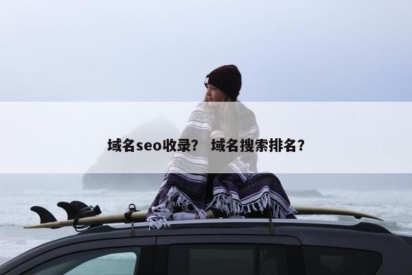 域名seo收录？ 域名搜索排名？