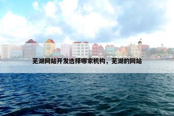 芜湖网站开发选择哪家机构，芜湖的网站