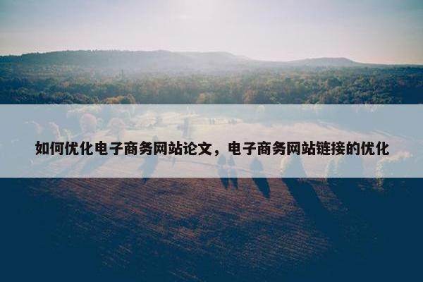 如何优化电子商务网站论文，电子商务网站链接的优化
