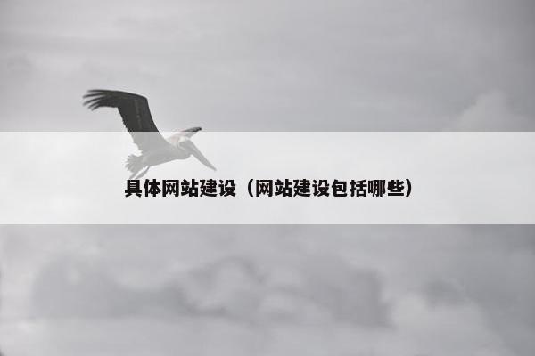 具体网站建设（网站建设包括哪些）