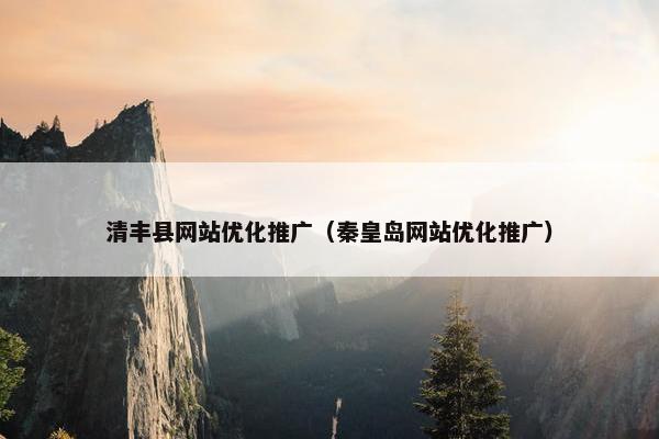 清丰县网站优化推广（秦皇岛网站优化推广）