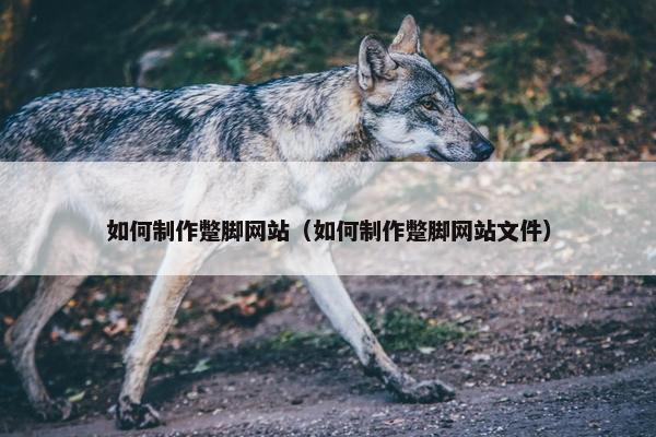 如何制作蹩脚网站（如何制作蹩脚网站文件）