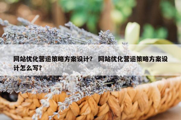 网站优化营运策略方案设计？ 网站优化营运策略方案设计怎么写？