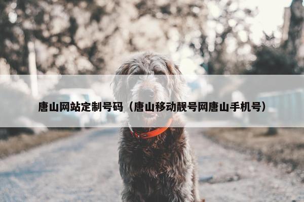 唐山网站定制号码（唐山移动靓号网唐山手机号）