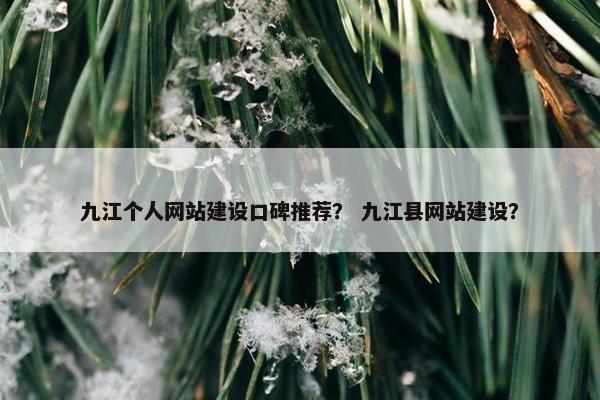 九江个人网站建设口碑推荐？ 九江县网站建设？
