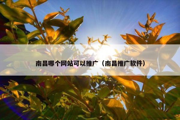 南昌哪个网站可以推广（南昌推广软件）