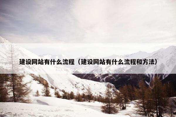建设网站有什么流程（建设网站有什么流程和方法）