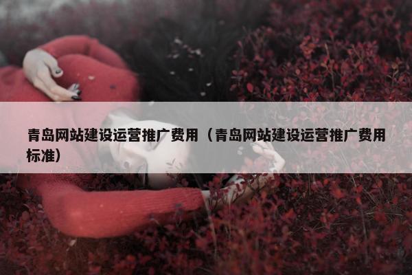 青岛网站建设运营推广费用（青岛网站建设运营推广费用标准）