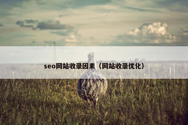 seo网站收录因素（网站收录优化）