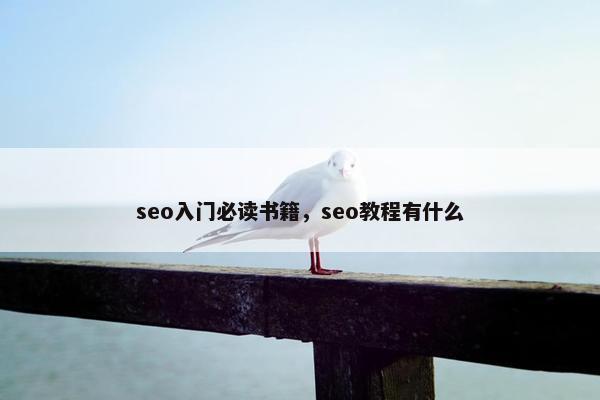 seo入门必读书籍，seo教程有什么