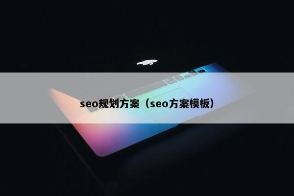 seo规划方案（seo方案模板）