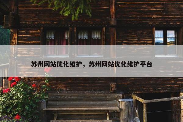 苏州网站优化维护，苏州网站优化维护平台