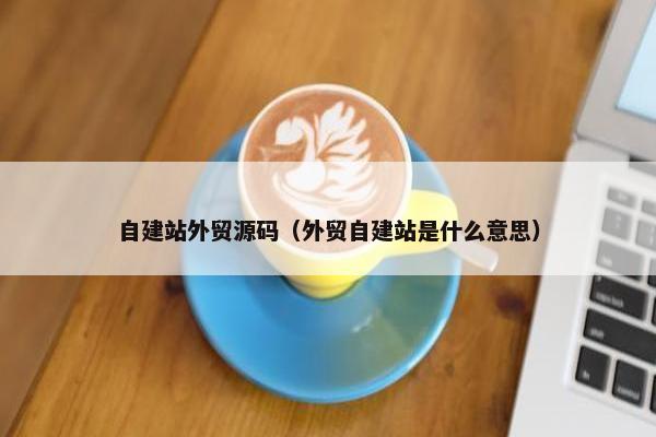 自建站外贸源码（外贸自建站是什么意思）
