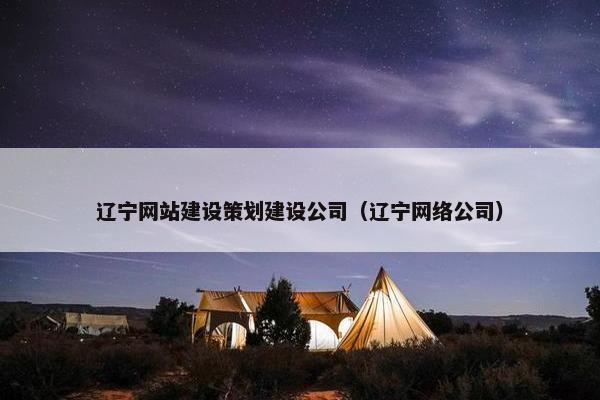 辽宁网站建设策划建设公司（辽宁网络公司）