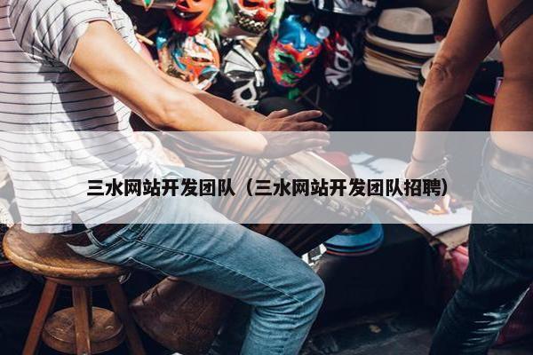 三水网站开发团队（三水网站开发团队招聘）