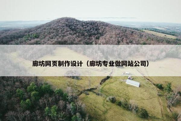廊坊网页制作设计（廊坊专业做网站公司）