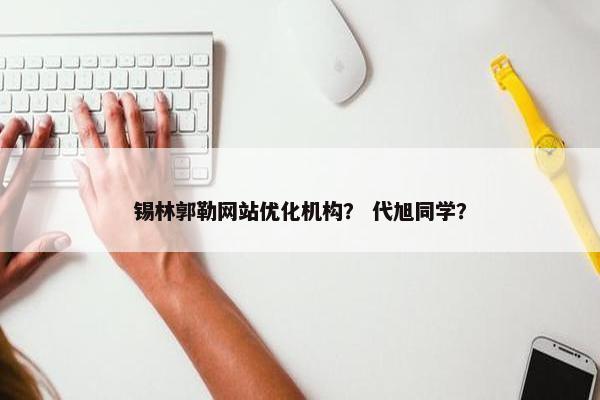 锡林郭勒网站优化机构？ 代旭同学？
