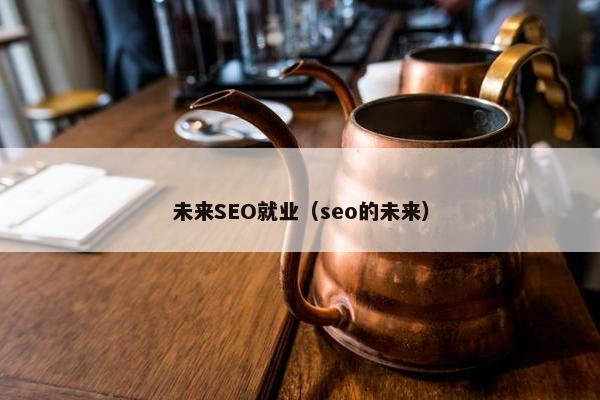 未来SEO就业（seo的未来）