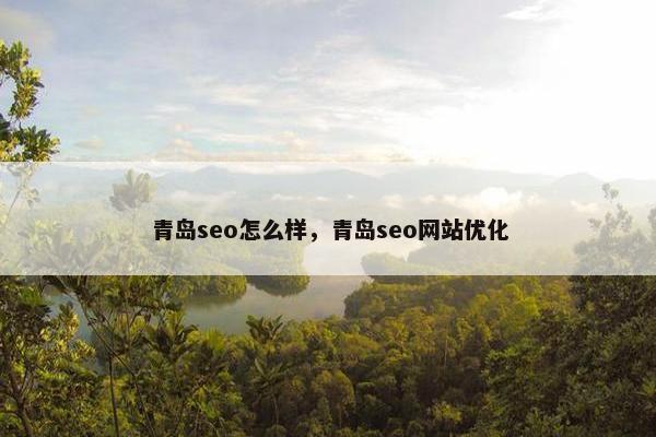 青岛seo怎么样，青岛seo网站优化