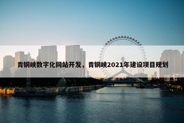 青铜峡数字化网站开发，青铜峡2021年建设项目规划