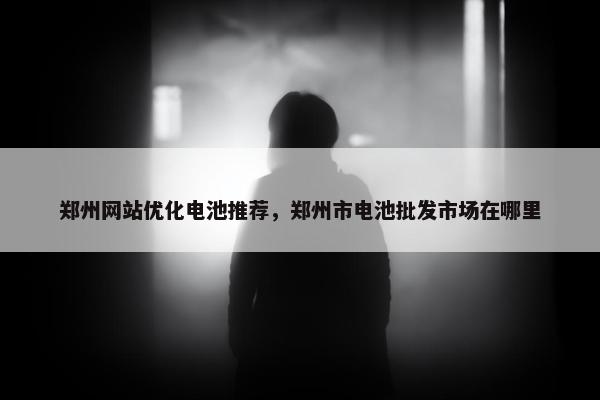 郑州网站优化电池推荐，郑州市电池批发市场在哪里
