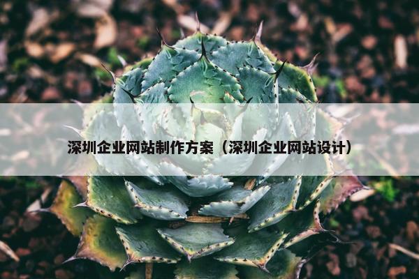 深圳企业网站制作方案（深圳企业网站设计）
