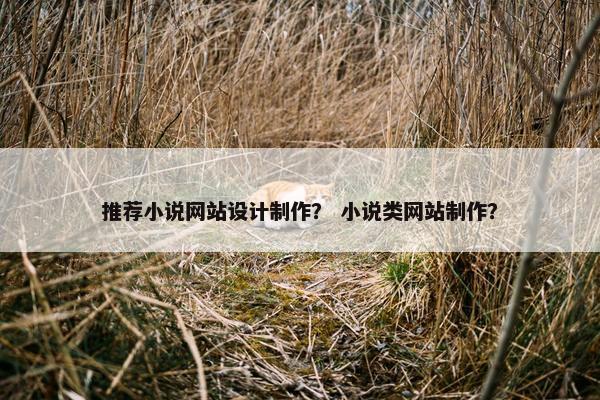 推荐小说网站设计制作？ 小说类网站制作？