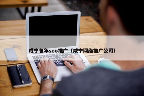 咸宁包年seo推广（咸宁网络推广公司）