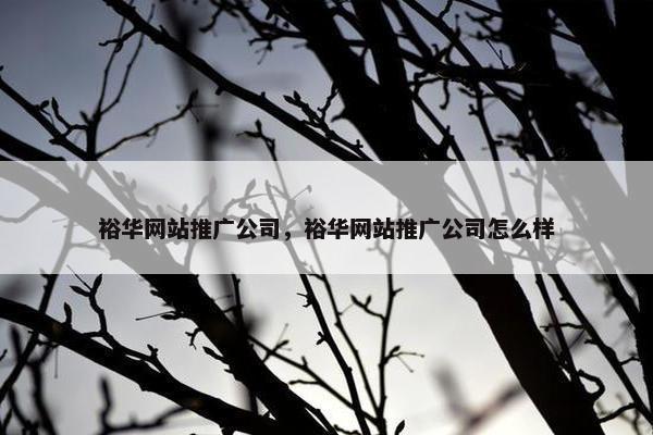 裕华网站推广公司，裕华网站推广公司怎么样