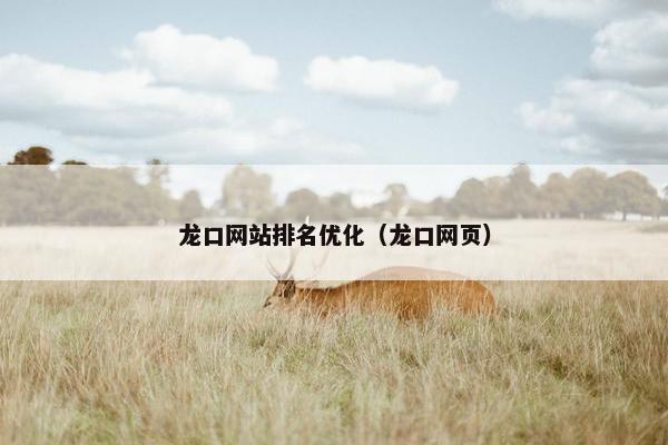 龙口网站排名优化（龙口网页）