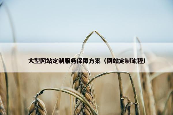 大型网站定制服务保障方案（网站定制流程）
