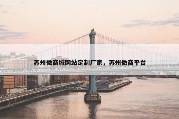 苏州微商城网站定制厂家，苏州微商平台