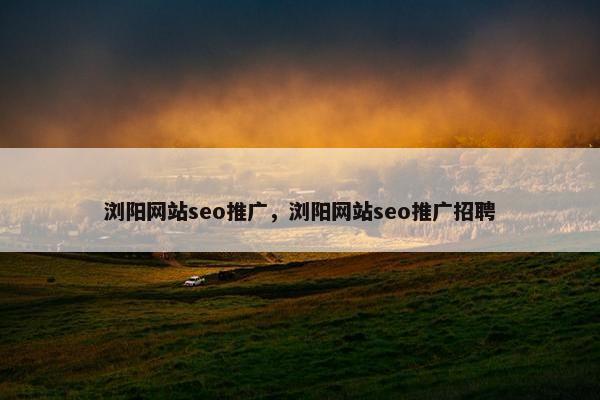 浏阳网站seo推广，浏阳网站seo推广招聘