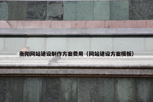 衡阳网站建设制作方案费用（网站建设方案模板）