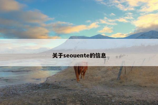 关于seouente的信息