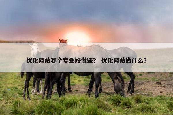 优化网站哪个专业好做些？ 优化网站做什么？