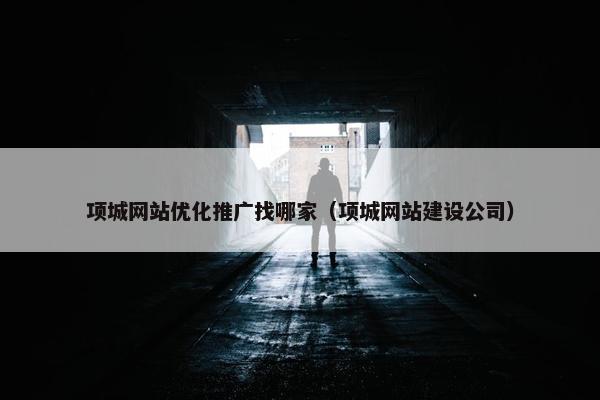项城网站优化推广找哪家（项城网站建设公司）