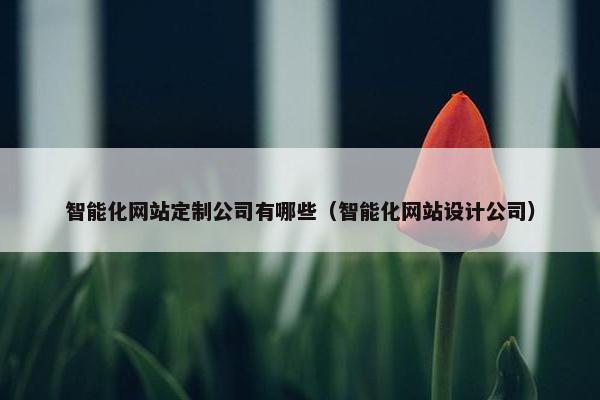 智能化网站定制公司有哪些（智能化网站设计公司）
