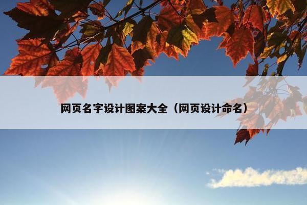 网页名字设计图案大全（网页设计命名）
