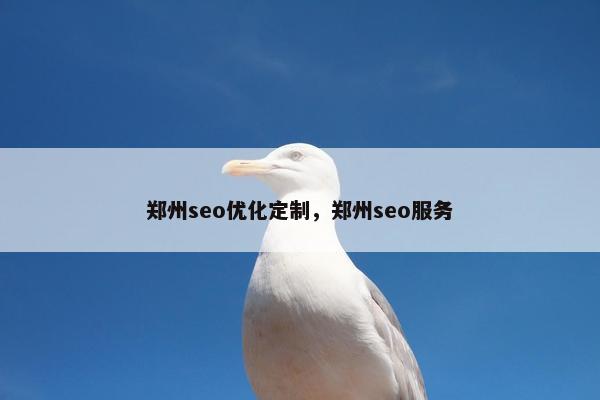 郑州seo优化定制，郑州seo服务