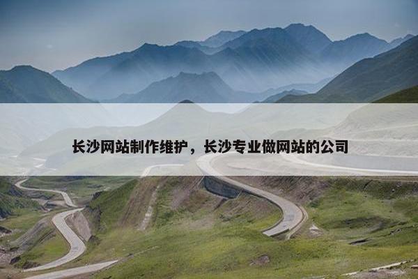 长沙网站制作维护，长沙专业做网站的公司