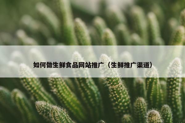 如何做生鲜食品网站推广（生鲜推广渠道）