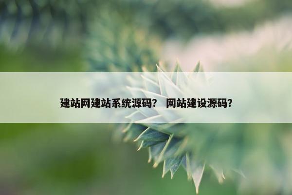 建站网建站系统源码？ 网站建设源码？
