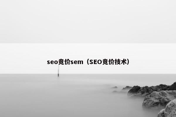 seo竞价sem（SEO竞价技术）