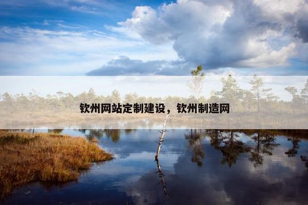 钦州网站定制建设，钦州制造网