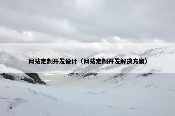 网站定制开发设计（网站定制开发解决方案）