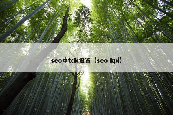 seo中tdk设置（seo kpi）