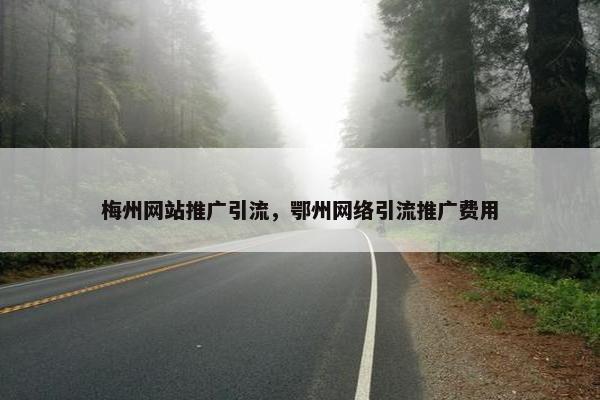 梅州网站推广引流，鄂州网络引流推广费用