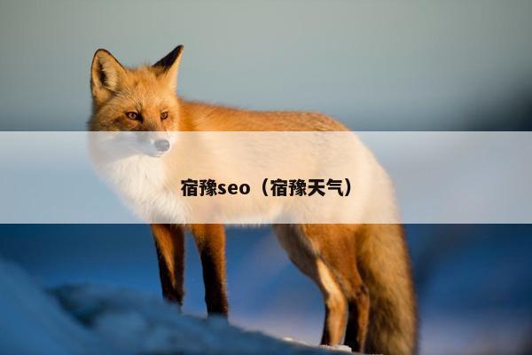 宿豫seo（宿豫天气）