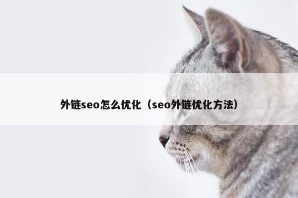 外链seo怎么优化（seo外链优化方法）
